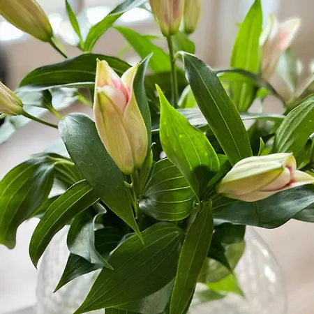 Prázdninový dům Charming Log Close To The Water And